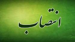 علی تیموری معاون توسعه مدیریت و منابع وزارت جهاد کشاورزی شد